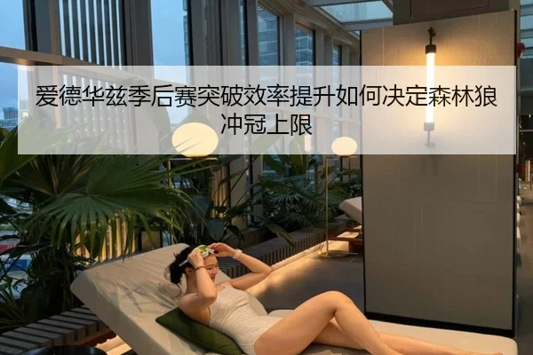 爱德华兹季后赛突破效率提升如何决定森林狼冲冠上限