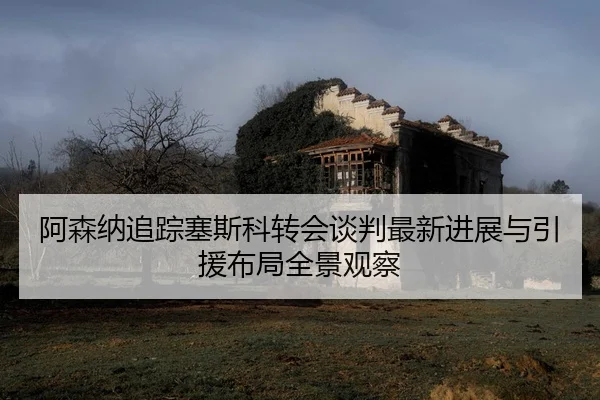 阿森纳追踪塞斯科转会谈判最新进展与引援布局全景观察